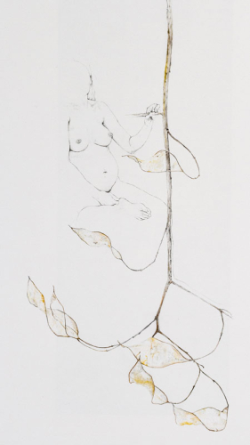 Selbstportrait einer schwangeren Mondviole, Bleistift, Aquarell, 2015